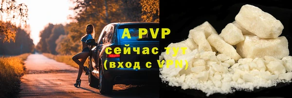 ешки Алексин