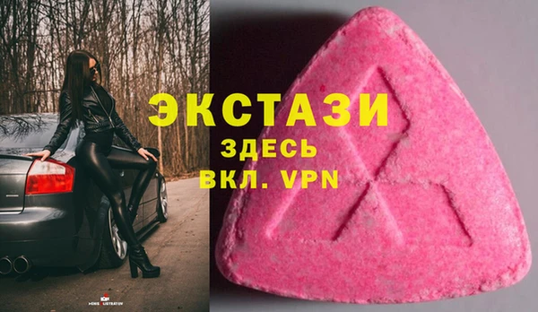ешки Алексин
