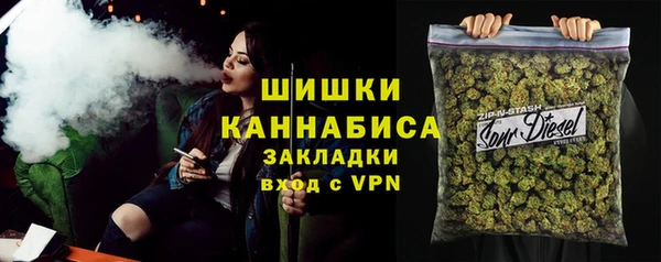 МДПВ Алзамай