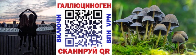 Псилоцибиновые грибы прущие грибы  Когалым 